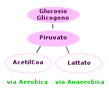 degradazione