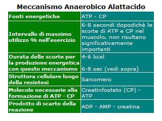 meccanismo